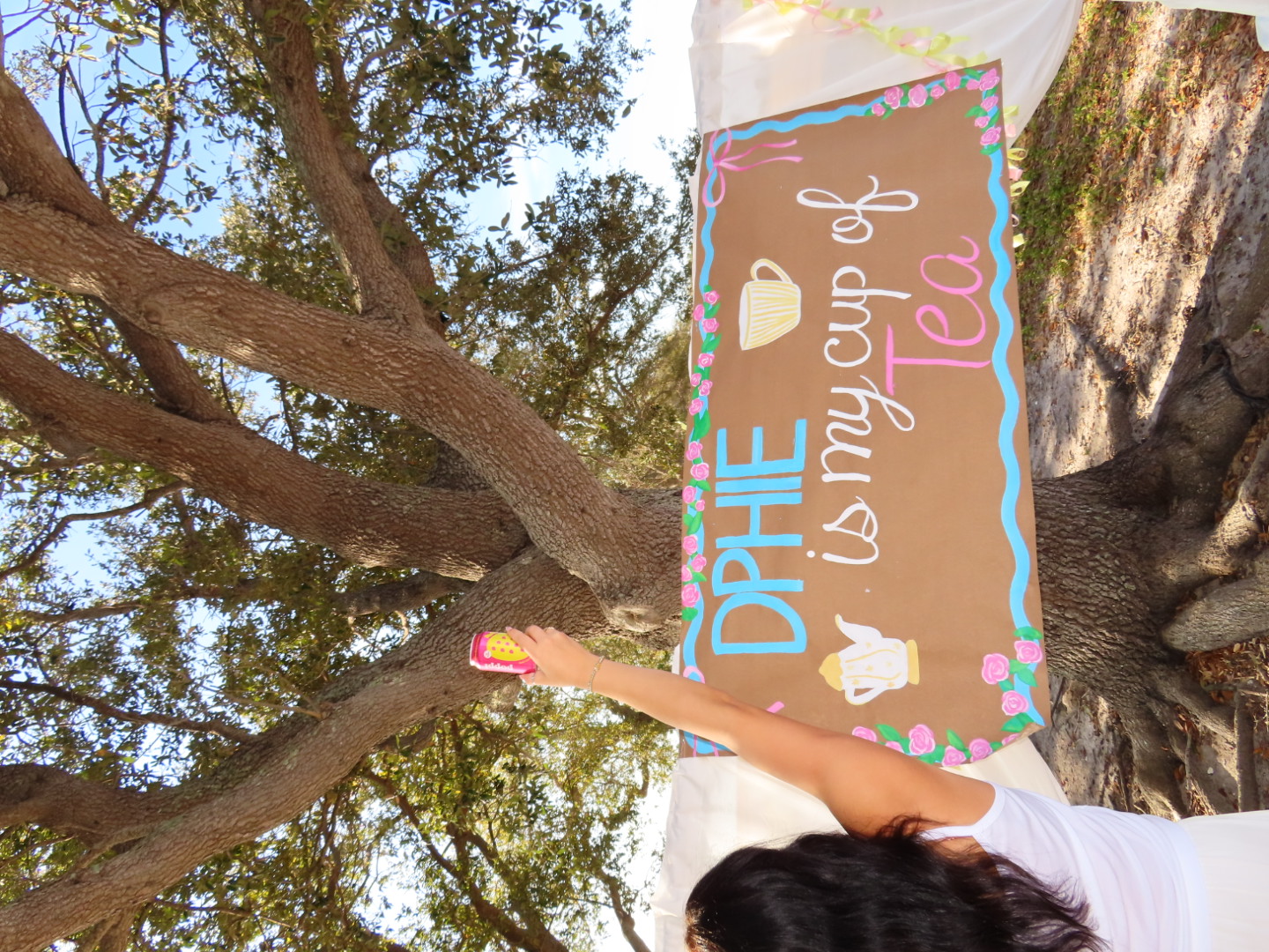 DPHIE UTampa