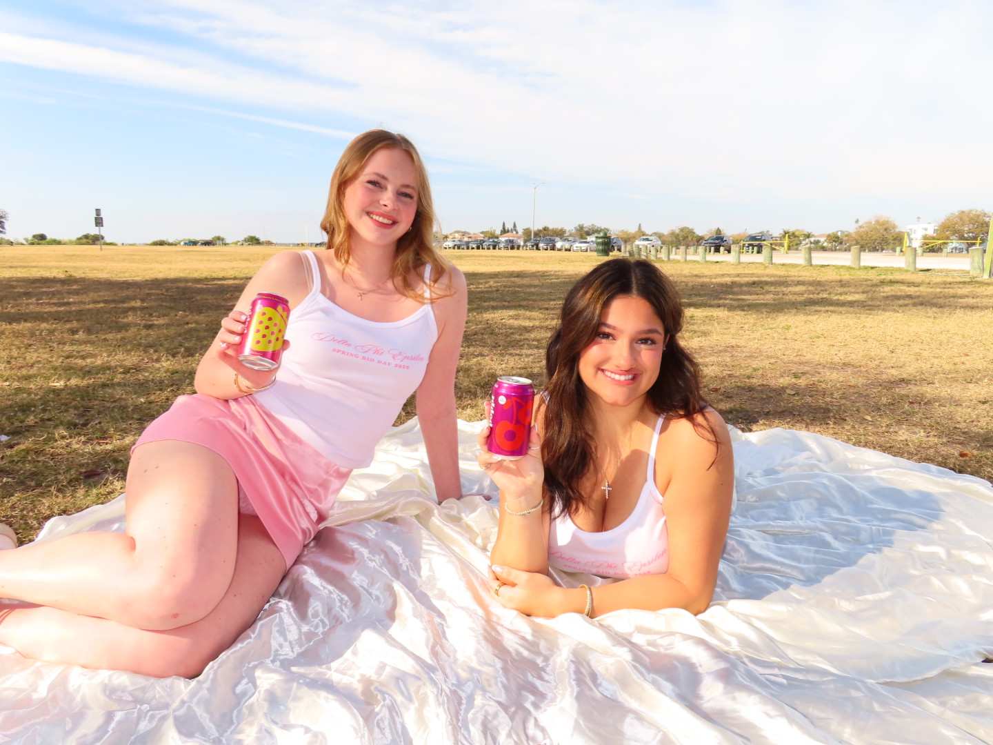 DPHIE UTampa