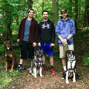 Dog Meetups