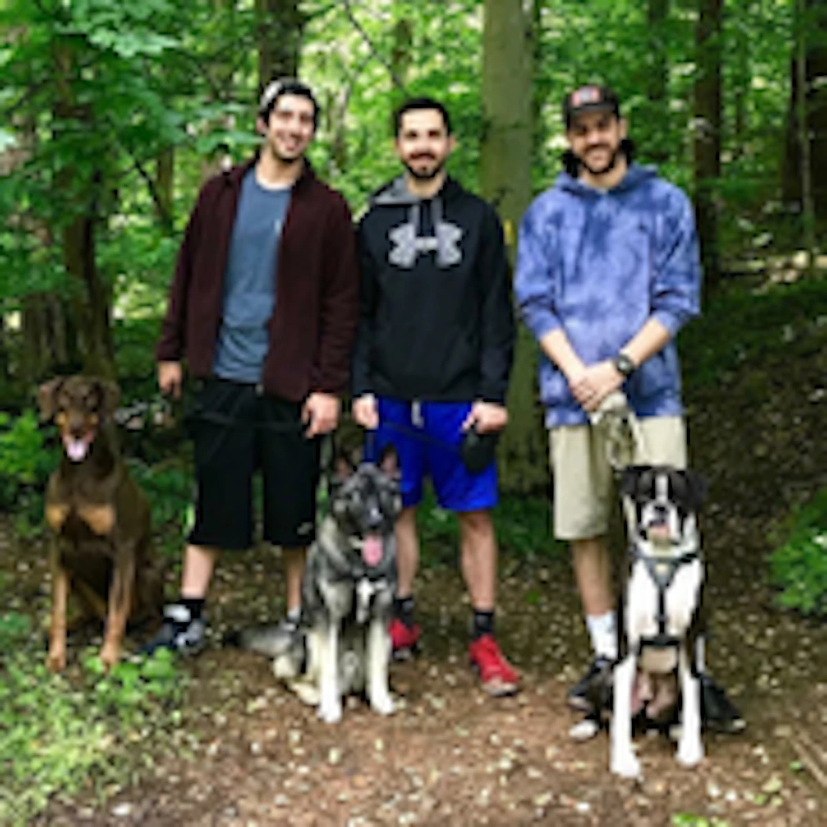 Dog Meetups Events: Find Your Brand Partners